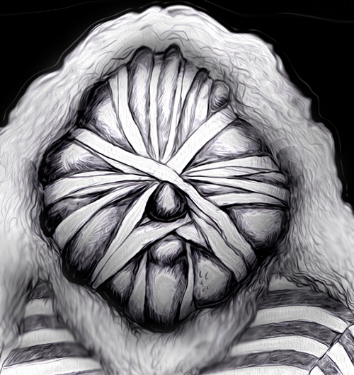 有名人の似顔絵