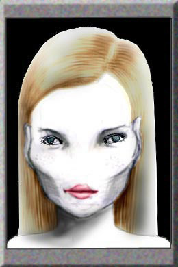 有名人の似顔絵